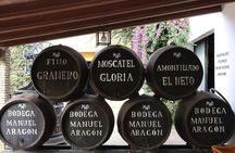 Winery tour and wine tasting in Chiclana de la Frontera in Cádiz
