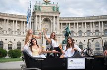 Vienna breakfast and culture tour in a vintage oldtimer vehicle