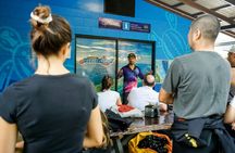 Half-day ocean safari Great Barrier Reef adventure