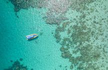 Half-day ocean safari Great Barrier Reef adventure