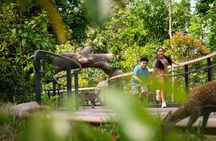 Rainforest Wild Asia