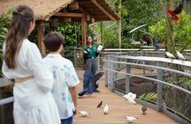 Entrance tickets to Bird Paradise