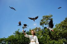Entrance tickets to Bird Paradise