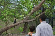 Entrance tickets to Bird Paradise