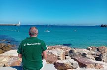 Dolphin watching in Tarifa from the coast of Cádiz with pickup
