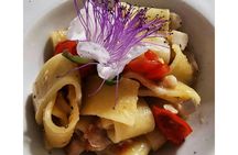 Local authentic dinner in a Pantelleria dammuso