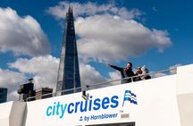 One-Way Sightseeing Cruise on the Thames River
