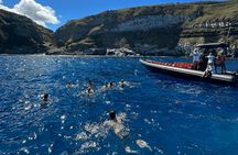São Miguel coastal snorkelling adventure