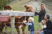 Walter Peak farm tour