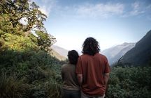 Doubtful Sound wilderness cruise
