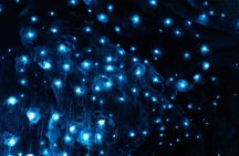 Te Anau Glowworm Caves