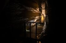 Te Anau Glowworm Caves