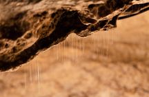 Te Anau Glowworm Caves