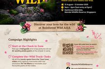 Rainforest Wild Asia