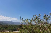 Private tuk-tuk tour of Crete's inland villages with tastings