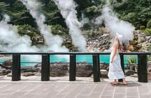 Day Tour of Nyoirinji Frog Temple, Beppu and Yufuin from Fukuoka