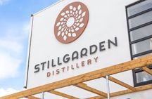 Gin or vodka making with spirit tasting and cocktail masterclass