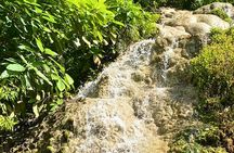 Half-day private van charter with driver to Bua Thong Waterfall