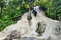 Half-day private van charter with driver to Bua Thong Waterfall