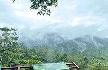 Half-day private van charter with driver to Bua Thong Waterfall