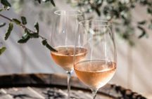 Vineyard experience and guided tour through Provence from Nice