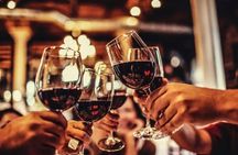 Vineyard experience and guided tour through Provence from Nice
