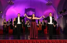 After-hours palace audio tour, dinner and concert at Schönbrunn Palace
