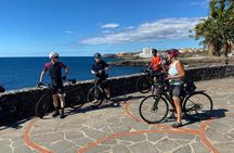 Guided e-bike tour to El Medano