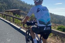Guided e-bike tour to El Medano