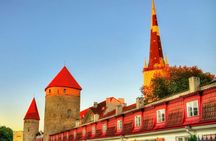 Introductory walking tour of Tallinn with a local guide