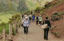 Pompeii ruins and Mt. Vesuvius volcano day trip from Naples
