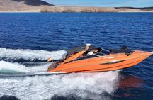 Luxury yacht trip to Lobos Island
