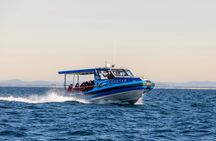 Ocean explorer tour