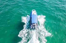 Whale discovery tour