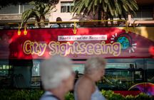 Santa Cruz City Sightseeing 24-hour hop-on hop-off bus ticket