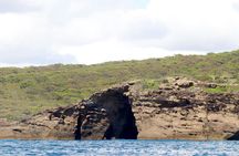 Ocean explorer tour