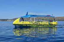 Boat trip by turtle submarine
