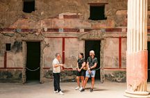 Pompeii ruins and Mt. Vesuvius volcano day trip from Naples