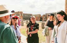 Pompeii ruins and Mt. Vesuvius volcano day trip from Naples