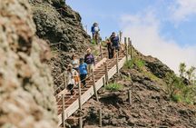 Pompeii ruins and Mt. Vesuvius volcano day trip from Naples