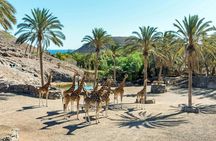 Oasis Wildlife Fuerteventura Ticket