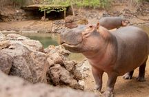 Oasis Wildlife Fuerteventura Ticket