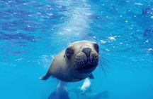 Oasis Wildlife Fuerteventura Ticket