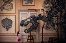 Entrance ticket to the Art Zoo Museum in Amsterdam with audio tour