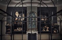 Entrance ticket to the Art Zoo Museum in Amsterdam with audio tour