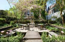 Entrance ticket to the Art Zoo Museum in Amsterdam with audio tour