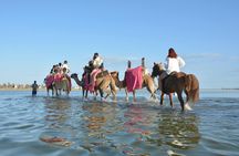 2-hour guided beach ride with lagoon crossing