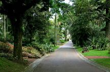 São Miguel Island Carvão Cave and gardens guided tour