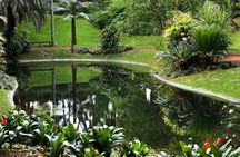 São Miguel Island Carvão Cave and gardens guided tour