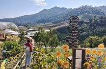 Flower Gardens and Dantewada Waterfall Park full-day private excursion